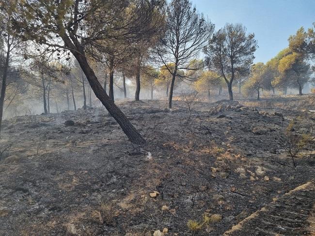 Imagen de la zona devastada por el incendio de Los Guájares. 