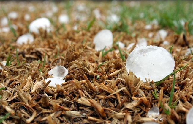 Detalle de granizo. 