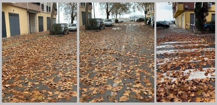 Imágenes de hojas acumuladas en la calle.