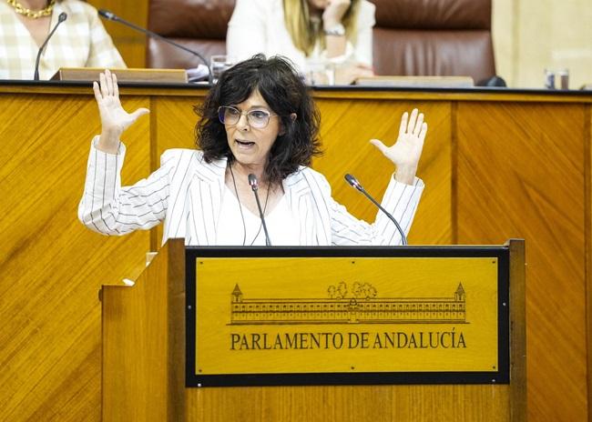 La portavoz de Salud del Grupo Socialista en el Parlamento andaluz, María Ángeles Prieto, interviene en el Pleno, en una imagen de archivo.oto de archivo).
