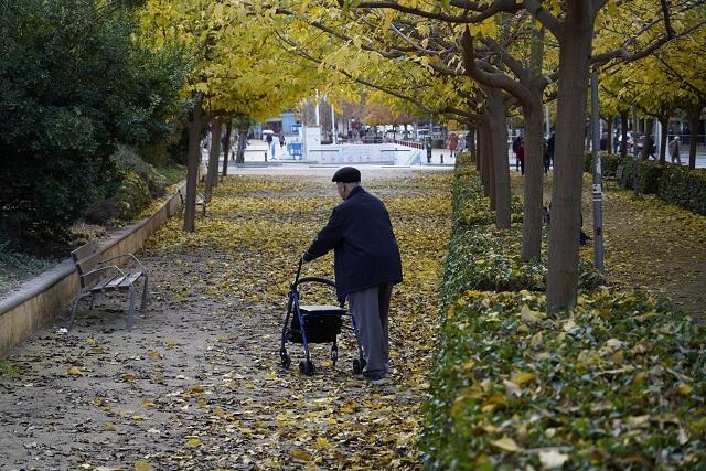 Una persona mayor pasea en un parque.