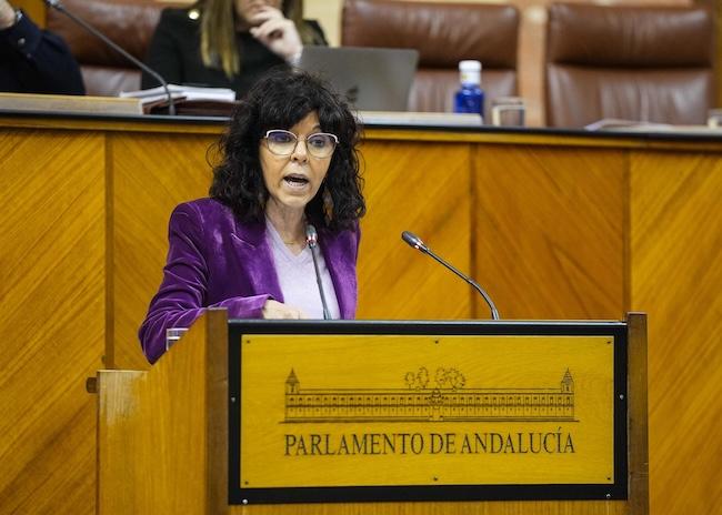 La parlamentaria del PSOE-A María Ángeles Prieto interviene en el Pleno del Parlamento.