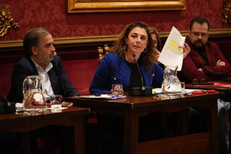 Raquel Ruz, este miércoles, en pleno extraordinario.