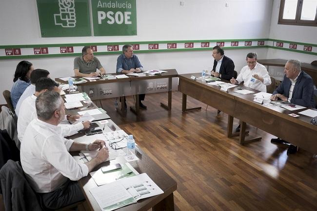 Juan Espadas y el secretario de Organización con los secretarios provinciales del PSOE andaluz. 