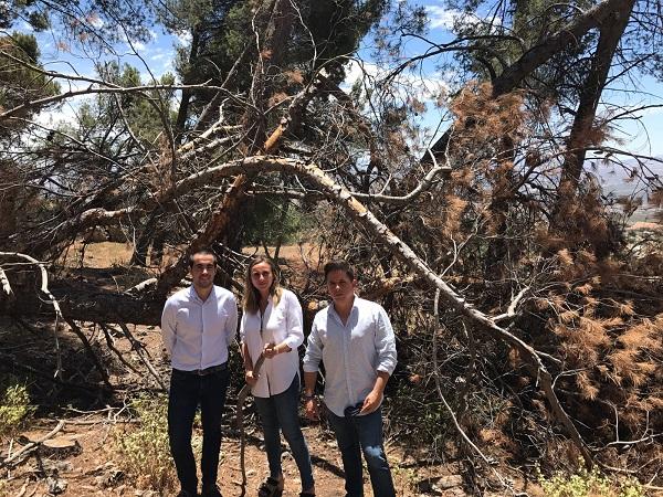 Los representantes del PP en la visita a la Sierra de Parapanda.