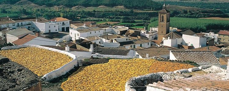 Valle del Zalabí.