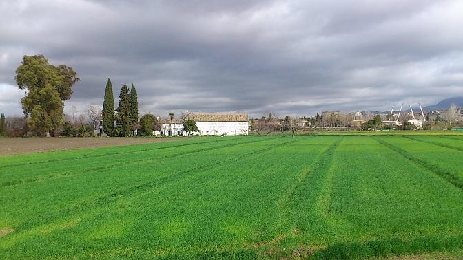 Vista de la Vega de Granada.