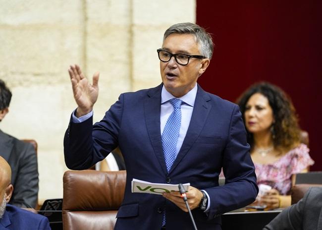 l portavoz de Vox, Manuel Gavira, en su intervención en la sesión de control.