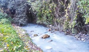 Tono azulado en las aguas del río Dílar. 