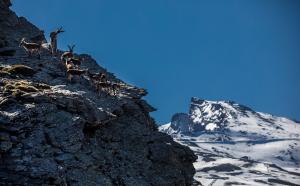 Espectacular imagen de El Veleta.