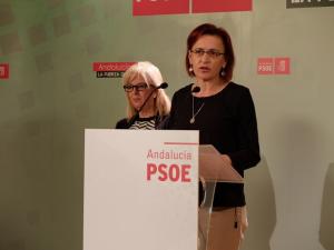 Ana Gámez en una rueda de prensa.