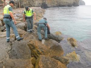 Los agentes devolvieron a las anémonas aún vivas al mar.