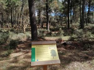 Zona del Robledal, en Alhama, desde donde partieron los senderistas. 