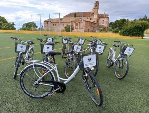 Bicis para préstamo durante el curso en el campus de Cartuja. 