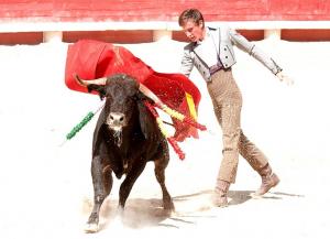 La Fundación Franz Weber cree que se banaliza la violencia contra los animales en las escuelas taurinas. 