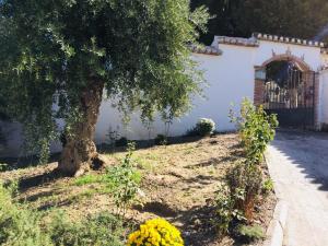 Exterior del cementerio de Pinos Genil, donde se llevarán a cabo los trabajos.