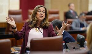 La consejera Carmen Castillo, en una imagen de archivo en el Parlamento.