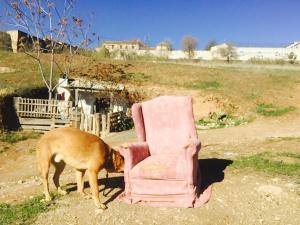 La Junta Municipal de Distrito ya acogió la primera reunión de trabajo para buscar una solución a las Cuevas de San Miguel.