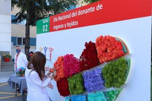 Una sanitaria deposita una flor en el mural habilitado.