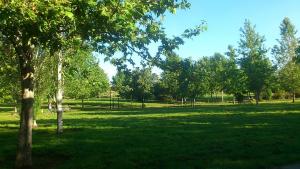 Parque Tico Medina, junto al río Genil y la Circunvalación. 