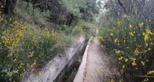 Acequia del Fardes, zona donde ocurrieron los hechos. 