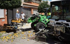 Vareo mecánico de naranjos en Armilla para la recogida del fruto. 