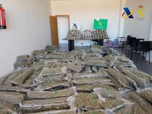 Marihuana intervenida en la operación. 