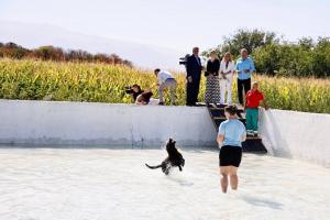 Un perro juega y se refresca en una alberca del centro de bienestar animal. 