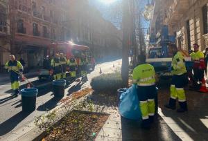 Retirada de los frutos que, al caer, no solo dejan manchas en el pavimento sino que desprenden mal olor.