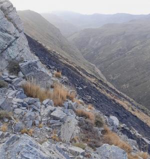 Zona quemada en la Loma de Dílar, con la cuenca del río Dílar a la dcha. y al fondo, las altas cumbres de Sierra Nevada. 