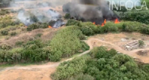 Imágenes del incendio. 