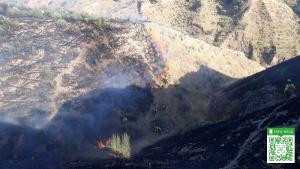 Imagen de las labores de extinción sobre el terreno en el incendio de la capital.