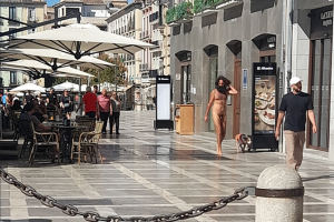 Olmo, de paseo por el centro de Granada.