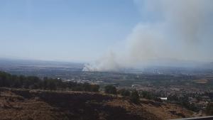 El incendio se ha declarado junto a la A-44 en dirección a Motril.