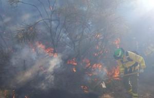 Bomberos forestales trabajan contra las llamas en el incendio de Pinos Genil. 