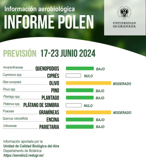 Previsión de niveles de polen en Granada. 