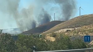 Columnas de humo del incendio de Padul, esta tarde. 