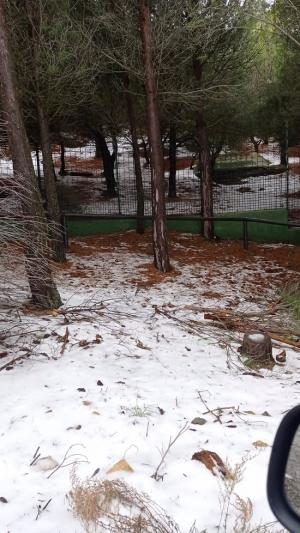 Nieve en Peña Escrita. 