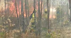 Bomberos del Infoca trabajando sobre el terreno.