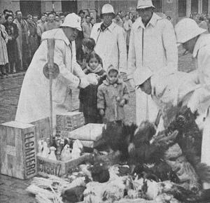 1 de enero de 1953: varios guardias reciben pavos, gallinas, bebidas, embutidos, etc. al inicio de Gran Vía. 