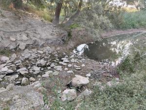 Así está el río Guardal a su paso por Benamaurel.