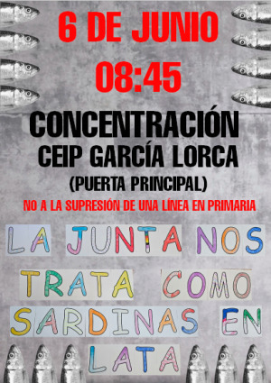 Convocatoria de la concentración.