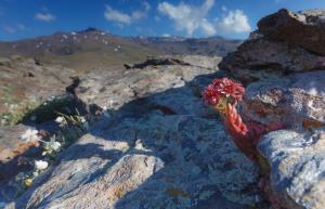 Espectacular imagen de Sierra Nevada.