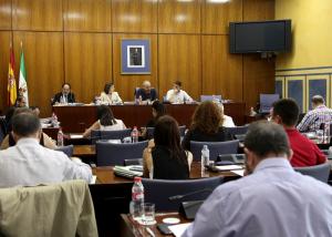 Un momento de la Comisión de Cultura celebrada este miércoles en el Parlamento.