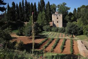 Una de las huertas medievales. 