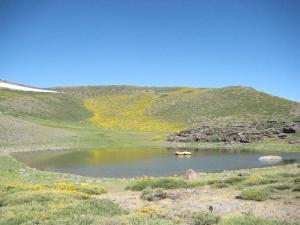 Los científicos investigan los sedimentos de las lagunas y también fósiles de polen.