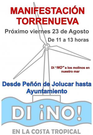 Cartel de la manifestación. 