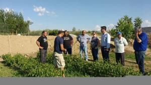 Visita a una de las plantaciones afectadas.