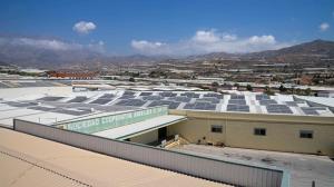 Placas fotovoltaicas en las instalaciones de El Grupo.