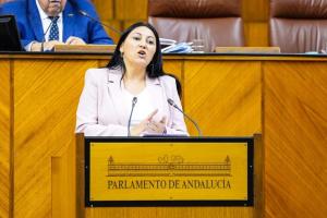 Alejandra Durán, en el Parlamento andaluz en imagen de archivo.